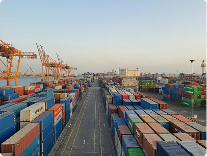 International freight and export shipping